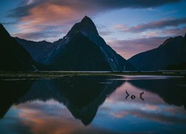 South Island Retreats & Trips