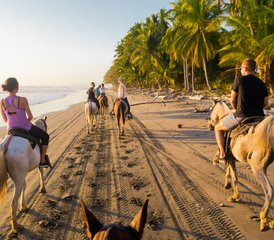 6 jours de luxe en stage de yoga, surf, bien-être et travail énergétique près de Santa Teresa, Costa Rica - Photo 2
