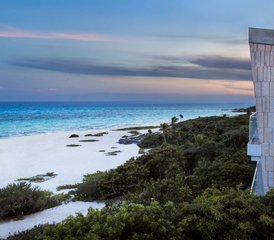 6-Daagse Pause and Transform Yoga & Wellness Retreat in Palmaïa in Playa del Carmen, Mexico - Photo 5