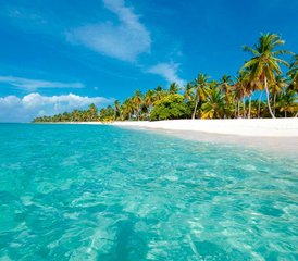 4 días de retiro de yoga de lujo para despedida de soltera en Las Terrenas, República Dominicana - Photo 4
