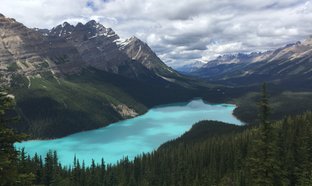 Alberta Retiros y Viajes