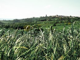 Nerac Retreats & Trips