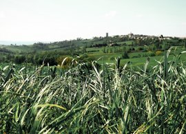 Nérac Retreats und Reisen