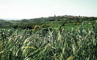 Nerac Retraites en Reizen
