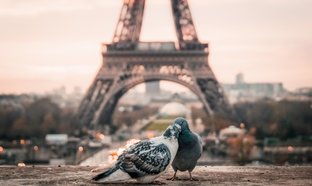 Paris Retreats und Reisen