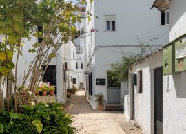 Vejer de la Frontera Retreats und Reisen