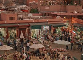 Medina Retreats & Trips