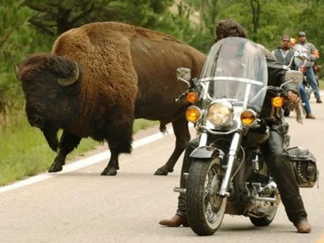 12 Day Motorcycle Tour of the Colorado Mountain Giants: Fully Guided Tour of Western Mountain States photo 2