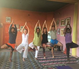 35 jours en formation de professeur de yoga 300h dans un ashram dans l'Himalaya, près de Dharamshala, Inde - Photo 3