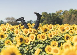 Massachusetts Retreats und Reisen