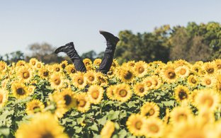 Massachusetts Retreats & Trips