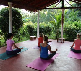 15 jours en stage d'Ayurveda Panchakarma et de yoga à Dickwella, Province du Sud, Sri Lanka - Photo 2