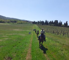 7 Day Horseback Riding Holiday along The Ancient Medieval Road in Siena, Tuscany, Italy - Photo 4