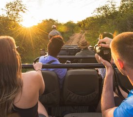 4 Day Awesome Kruger National Park Safari Including Panorama Route in South Africa - Photo 3
