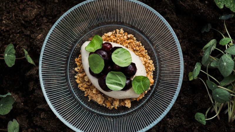 3 Day All-Inclusive Culinary Slow Living Retreat in the Amsterdam Countryside, Netherlands