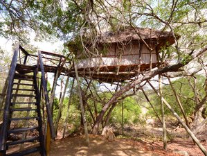 6 días de safari en casa de árbol y lodge en la reserva natural Balule y el Parque Nacional Kruger, Sudáfrica