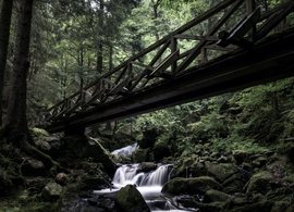 Schwarzwald Retreats und Reisen