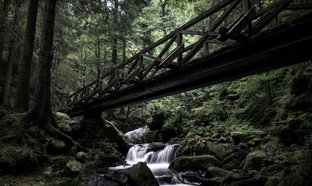 Black Forest Retreats & Trips