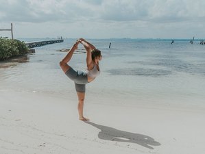 6-Daagse Luxe Yoga Retreat op het Prachtige Eiland Isla Mujeres