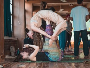 7 Day 50-Hour Yin Yoga Teacher Training Course in Rishikesh, India