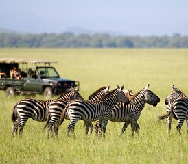 6 Days Wildebeest Migration Kenya Safari  - Photo 3