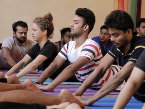 3 Day Yoga, Breathwork, and Meditation Retreat in Mandrem, Goa