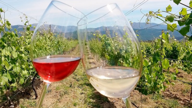 8 Day The Other Side Of The Douro Walking and Hiking Tour in Douro Valley, Portugal