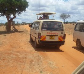 2 días de safari por carretera en el Parque Nacional Tsavo West, Kenia - Photo 2