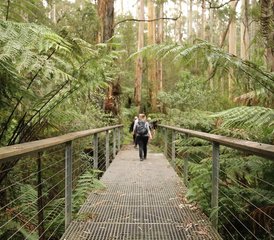 4 Day Yoga and Hiking Retreat in Northern Rivers, NSW, Australia with Lifestyle Workshops - Photo 3