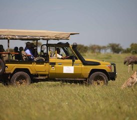 95 Day Maasai Mara Flying Safari in Kenya - Photo 1