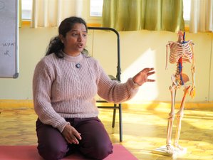 56 Day 500-Hour Intense Multi-Style Yoga Teacher Training in Rishikesh, India