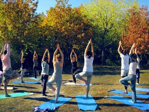 8 Day Mountain Yoga Retreat in Bansko