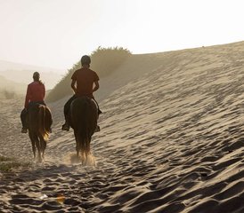8 Tage Reittraining und Ranchurlaub in Sidi Boulfdail, Tiznit, Marokko - Photo 4