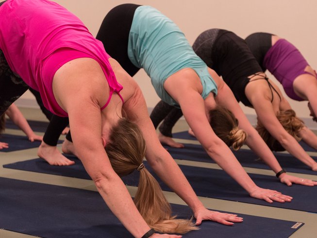 Embodying Art of Yoga - Rasa Mandala Vinyasa — Yoga Moves