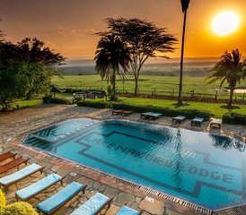 5 Day Lake Nakuru, Lake Naivasha, and Masai Mara Safari in Kenya with the Big Five and Birdwatching - Photo 5
