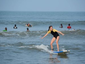 14 Day Surf Camp with Yoga, Diving, Snorkeling, and Whale Watching in Sri Lanka