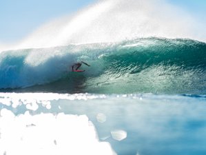 7 Day Unforgettable Surf Adventure for Intermediate and Advanced Surfers in Galápagos, Ecuador