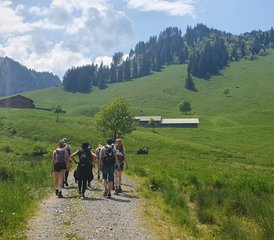5 Tage Yoga I Breathwork & Wander –Zurück zu Dir, deiner Lebendigkeit & deinem Strahlen – im Allgäu - Photo 3