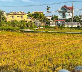 4 Day Energy Reset - Wellness Retreat in Hoi An, Vietnam - Photo 2