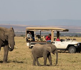 5 Tage Zentrale Hochland Safari in Kenia - Photo 2