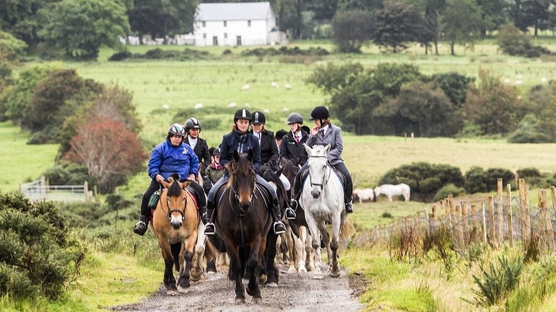 7 Days Castles, Coast, and Countryside Adventure Horse Riding Holiday in Northern Ireland, UK