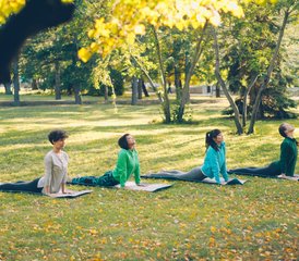 712 Day Deep Balancing Yoga and Nature Immersion in Västergötland, Sweden - Photo 1
