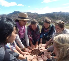 Formation de professeur de yoga sacré : 22 jours de transformation et de guérison au cœur des Andes, Pérou - Photo 4