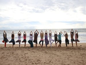 24 Day 200-Hour Yoga Teacher Training in Kerala, India