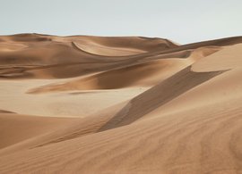 Namib Desert Retreats & Trips