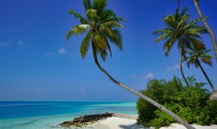 Alif Alif Atoll Retreats & Trips