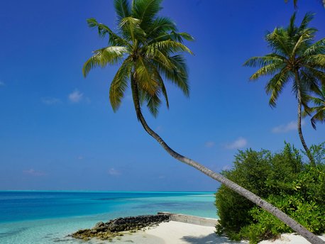 Alif Alif Atoll