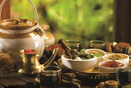14 jours en retraite de guérison Panchakarma et détox ayurvédique Veda Evolve au Kerala, Inde