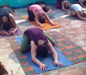 23-Daagse 200-uurs Yogadocentenopleiding in Dharamsala, Himachal Pradesh, India - Photo 5