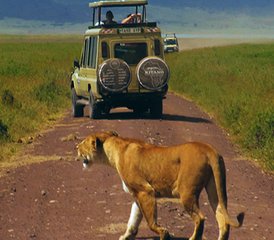72 Jour Safari Privé en Tanzanie : Découvrez les Merveilles du Ngorongoro - Photo 1